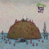 J Mascis - Several Shades Of Why