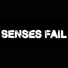 Senses Fail - Mi Amor