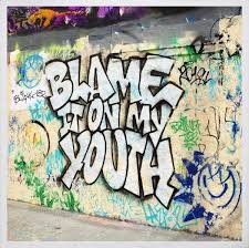 Blink 182  Blame It On My Youth		
