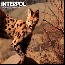 Interpol - The Heinrich Maneuver