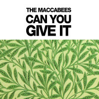 The Maccabees - Can You Give It