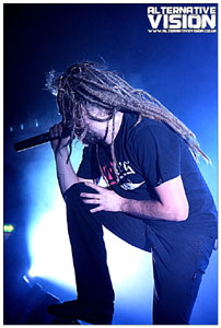 Photo Of In Flames © Copyright Trigger