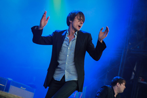 Photo Of Suede © Copyright Trigger