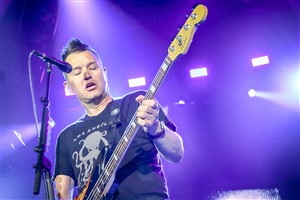 Photo Of Blink 182 © Copyright Trigger