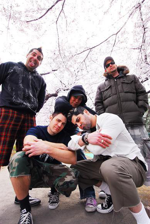 Photo Of Zebrahead