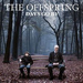 The Offspring - Days Go By